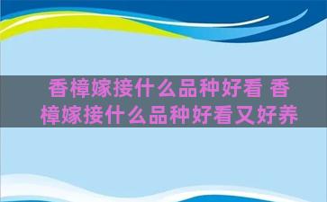 香樟嫁接什么品种好看 香樟嫁接什么品种好看又好养